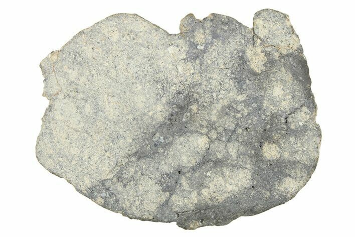 Eucrite Meteorite Slice ( g) - From Vesta Minor-Planet #280673